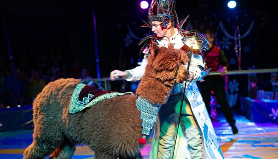 Цирк-шапито на льду