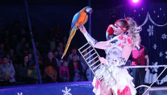 Цирк-шапито на льду