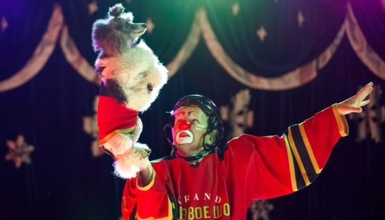 Цирк-шапито на льду «Grand Safari»