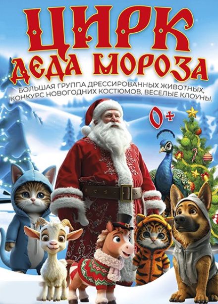 Цирк Деда Мороза