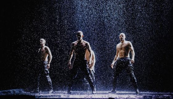 Шоу под дождём V. Признание в любви