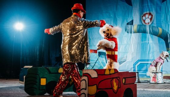 Цирк «Зверополис»