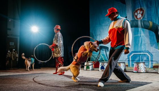 Цирк «Зверополис»